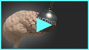 Alcohol on Brain Health: The Hidden Cost of Drinking
