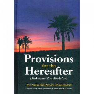 Provisions for the Hereafter - ebook
